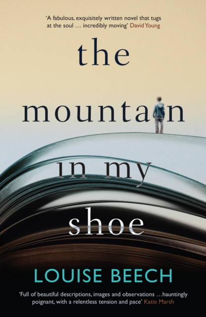 Book Cover for Mountain in My Shoe by Louise Beech