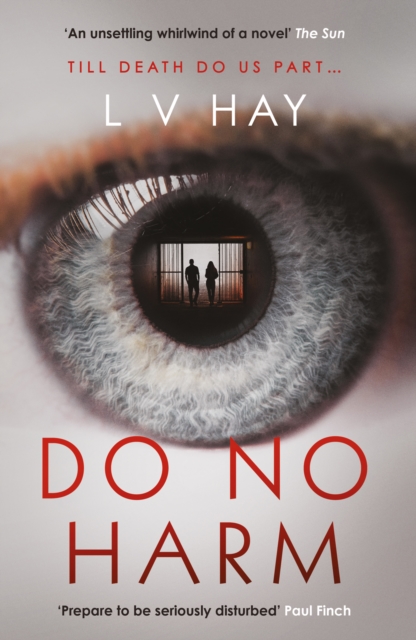 Book Cover for Do No Harm by L. V. Hay