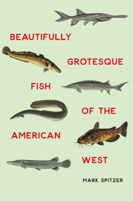 Book Cover for Beautifully Grotesque Fish of the American West by Spitzer, Mark