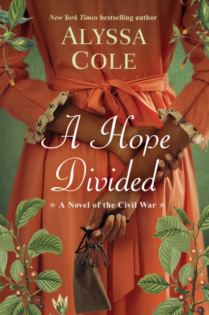 Book Cover for Hope Divided by Alyssa Cole