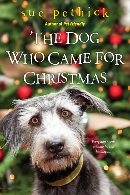 Book Cover for Dog Who Came for Christmas by Sue Pethick