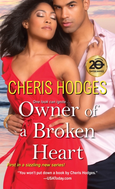 Book Cover for Owner of a Broken Heart by Cheris Hodges