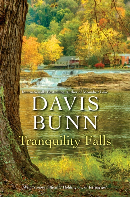 Book Cover for Tranquility Falls by Davis Bunn