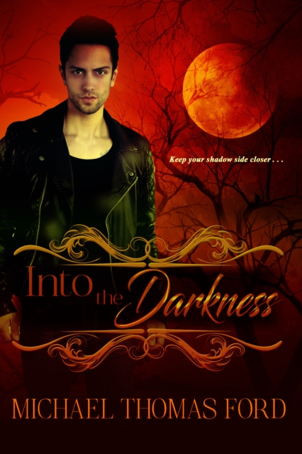 Book Cover for Into the Darkness by Ford, Michael Thomas