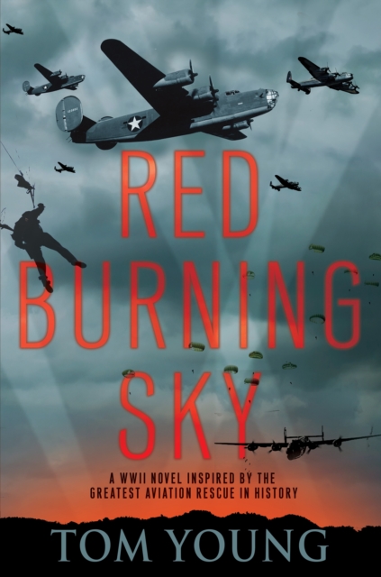 Book Cover for Red Burning Sky by Tom Young