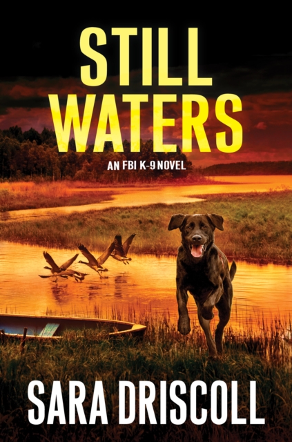 Book Cover for Still Waters by Sara Driscoll