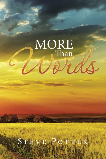 Book Cover for More Than Words by Steve Potter