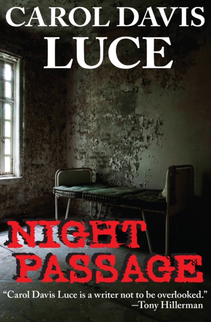 Book Cover for Night Passage by Carol Davis Luce