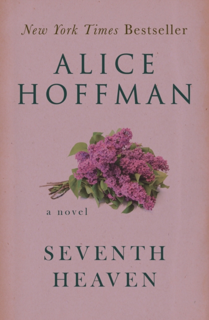 Book Cover for Seventh Heaven by Alice Hoffman