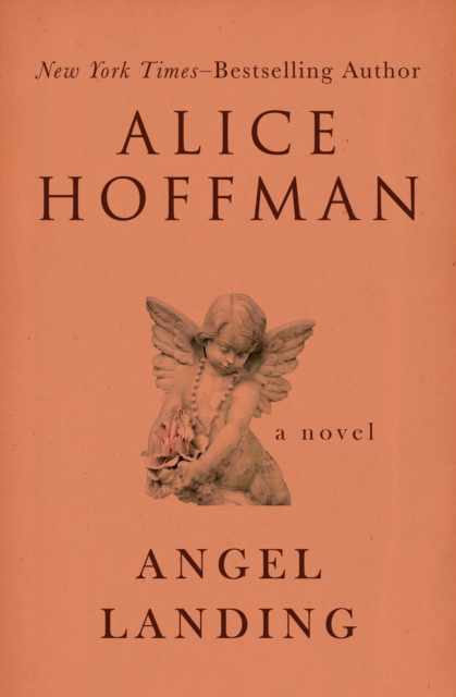 Book Cover for Angel Landing by Hoffman, Alice