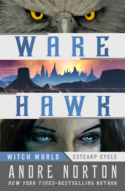 Book Cover for Ware Hawk by Norton, Andre