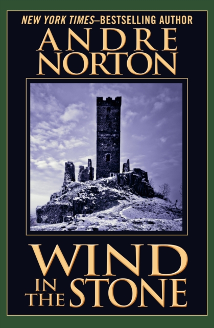 Book Cover for Wind in the Stone by Norton, Andre