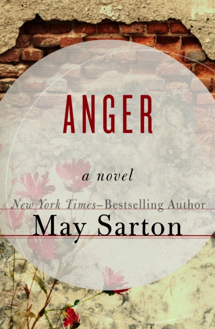 Book Cover for Anger by May Sarton