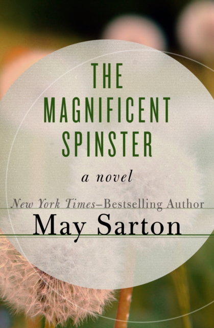 Book Cover for Magnificent Spinster by May Sarton