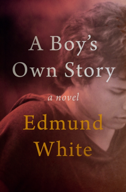 Book Cover for Boy's Own Story by Edmund White