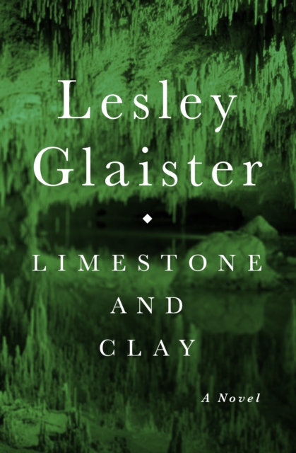 Book Cover for Limestone and Clay by Glaister, Lesley