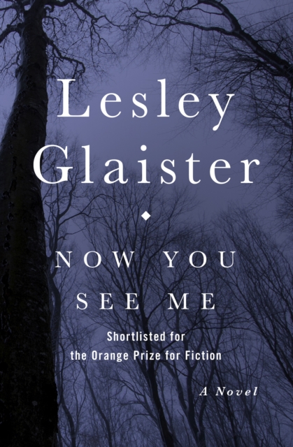 Book Cover for Now You See Me by Lesley Glaister