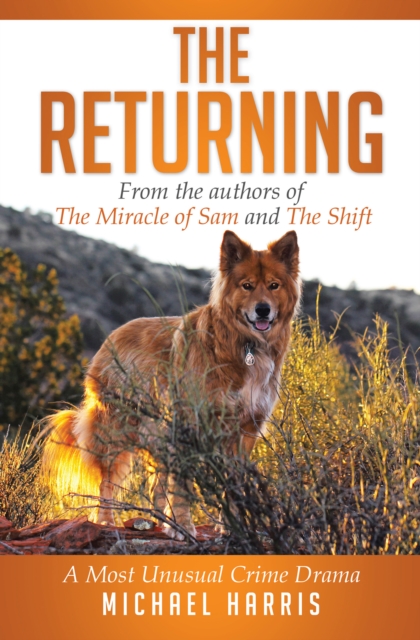 Book Cover for Returning by Michael Harris