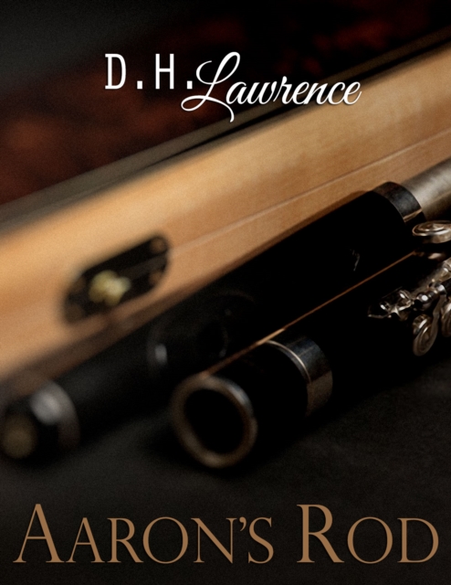 Book Cover for Aaron's Rod by D. H. Lawrence