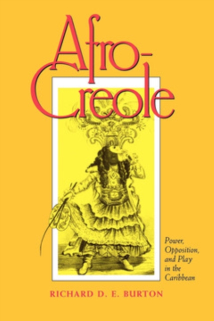 Book Cover for Afro-Creole by Richard D. E. Burton