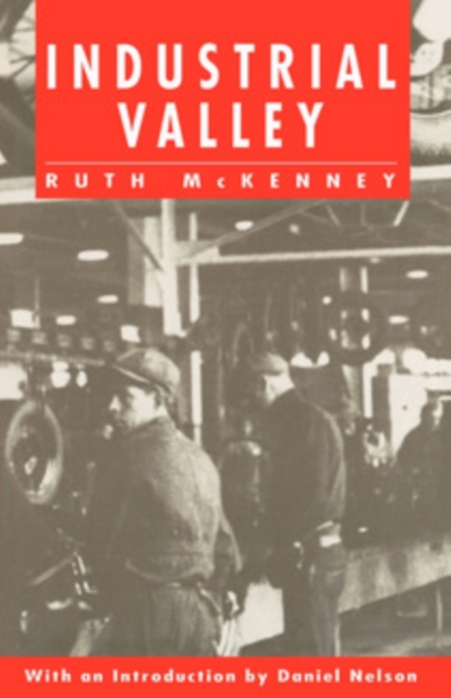 Book Cover for Industrial Valley by Ruth McKenney