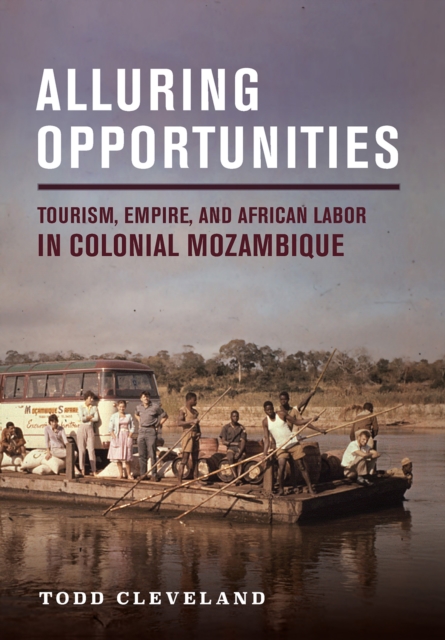 Book Cover for Alluring Opportunities by Todd Cleveland