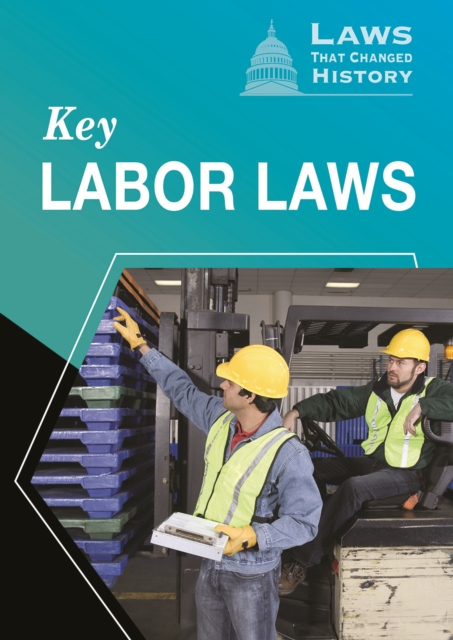Book Cover for Key Labor Laws by Alex Acks