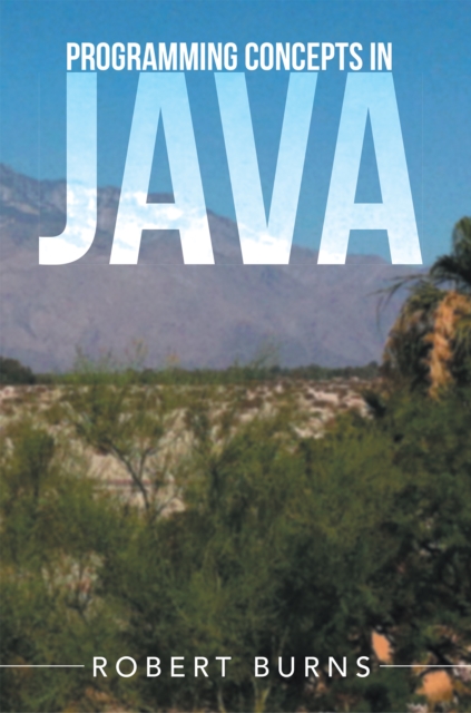 Book Cover for Programming Concepts in Java by Robert Burns