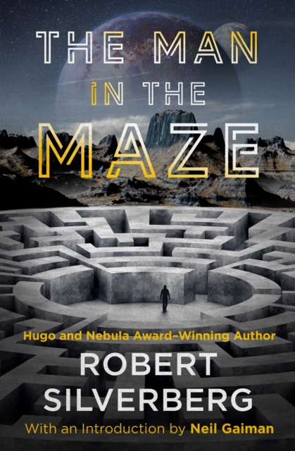 Book Cover for Man in the Maze by Neil Gaiman