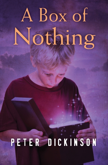 Book Cover for Box of Nothing by Dickinson, Peter