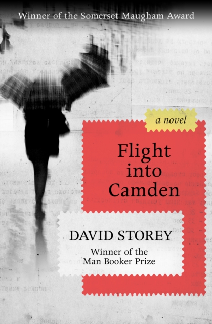 Book Cover for Flight into Camden by David Storey