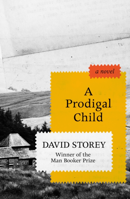 Book Cover for Prodigal Child by David Storey