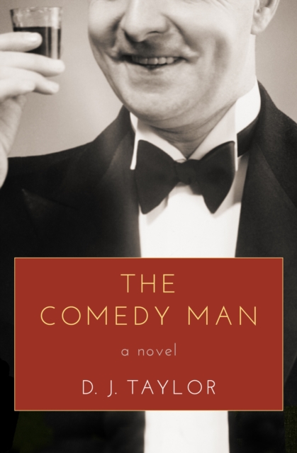 Book Cover for Comedy Man by D. J. Taylor