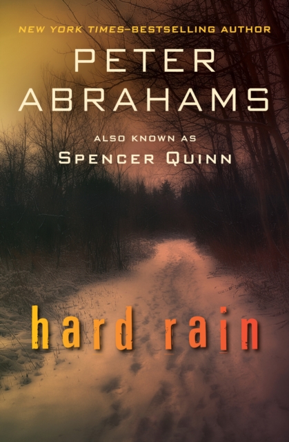 Book Cover for Hard Rain by Peter Abrahams