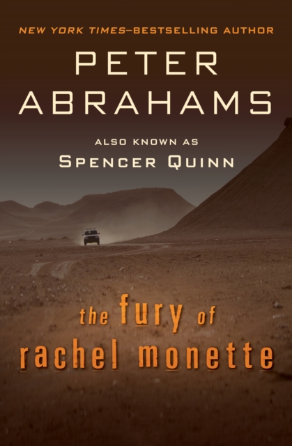 Book Cover for Fury of Rachel Monette by Peter Abrahams