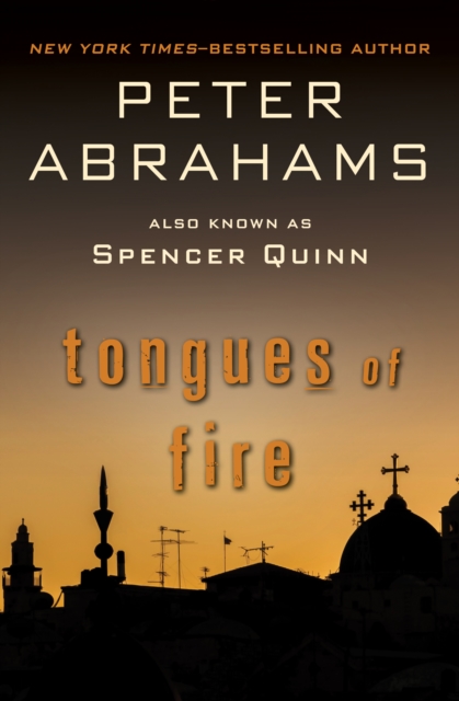 Book Cover for Tongues of Fire by Peter Abrahams