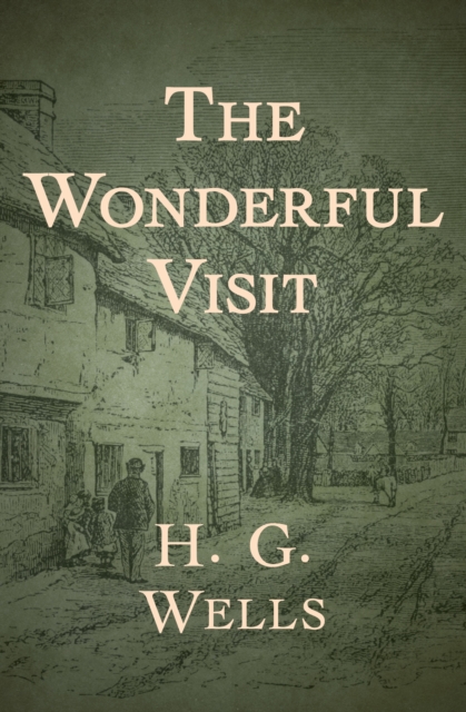 Book Cover for Wonderful Visit by H. G. Wells