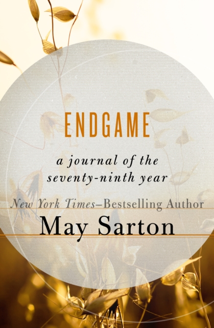 Book Cover for Endgame by May Sarton