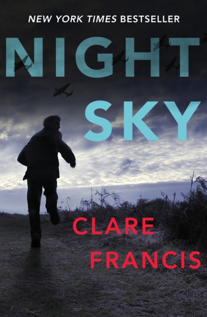 Book Cover for Night Sky by Clare Francis