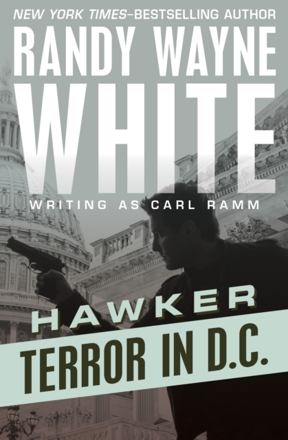 Book Cover for Terror in D.C. by Randy Wayne White