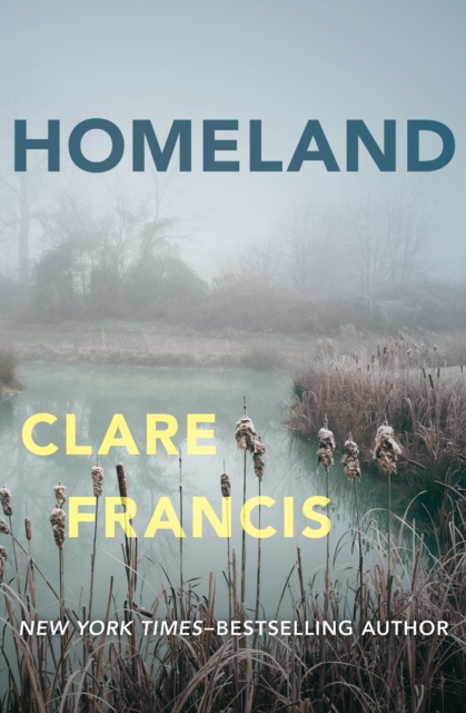 Book Cover for Homeland by Clare Francis