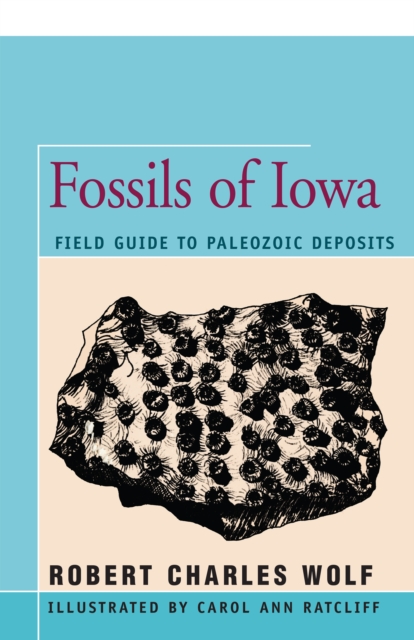 Book Cover for Fossils of Iowa by Robert Wolf