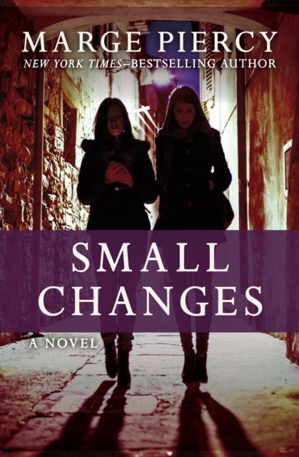 Book Cover for Small Changes by Marge Piercy