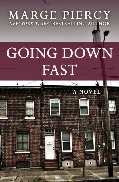 Book Cover for Going Down Fast by Marge Piercy