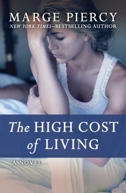 Book Cover for High Cost of Living by Marge Piercy