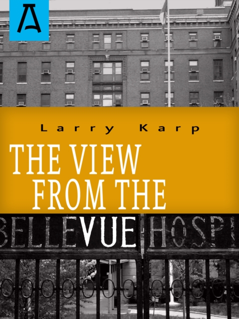 Book Cover for View from the Vue by Karp, Larry