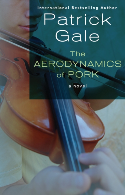 Book Cover for Aerodynamics of Pork by Patrick Gale