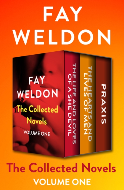 Book Cover for Collected Novels Volume One by Fay Weldon