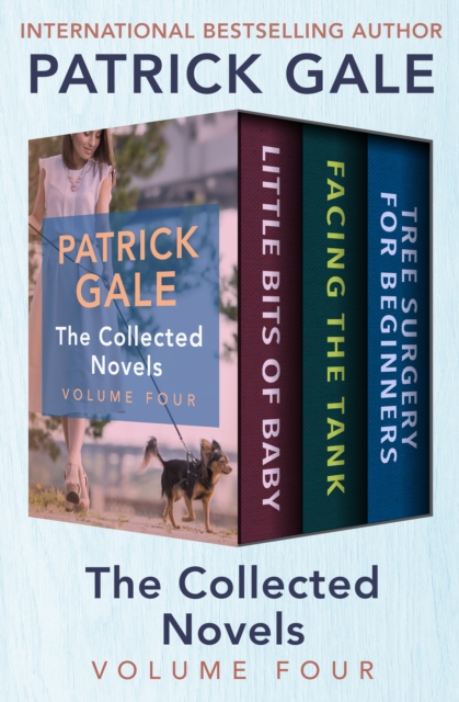 Book Cover for Collected Novels Volume Four by Patrick Gale