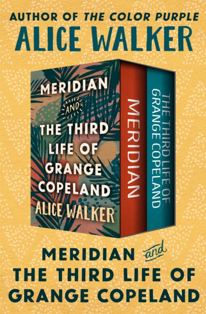 Book Cover for Meridian and The Third Life of Grange Copeland by Alice Walker